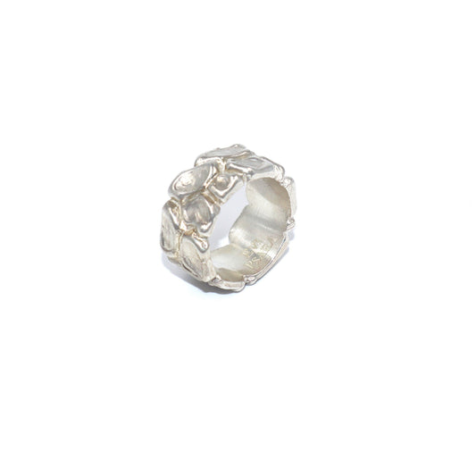 Parched Earth Duel Ring